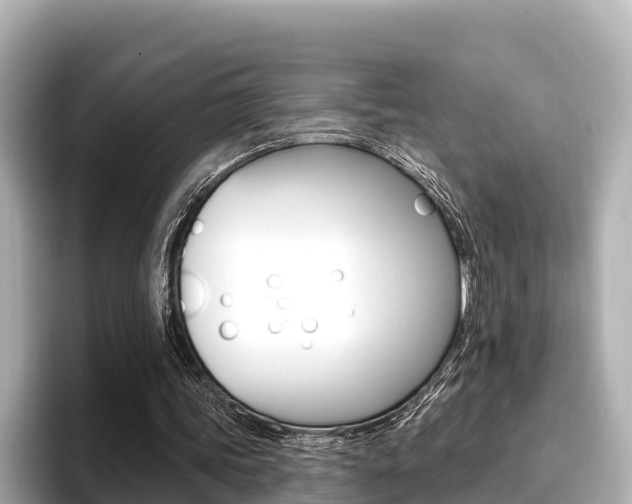 X0000096680339200802051034
