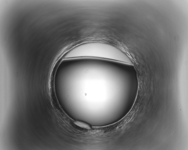 X0000096680340200802051034