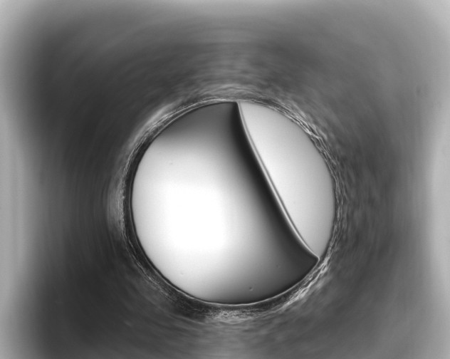 X0000096680341200802051034