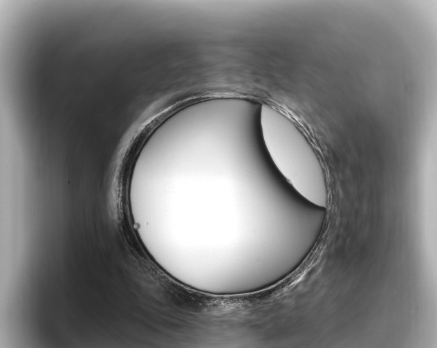 X0000096680343200802051034