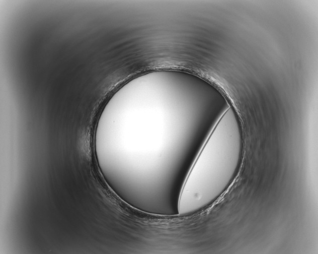 X0000096680345200802051034
