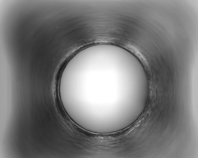 X0000096680346200802051034
