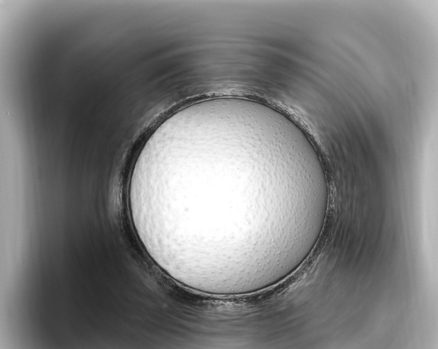 X0000096680347200802051034