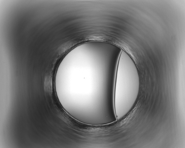 X0000096680349200802051034