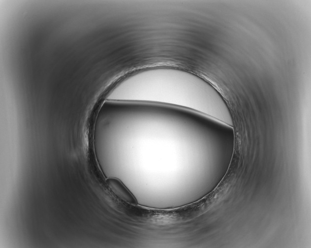 X0000096680350200802051034