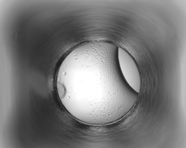 X0000096680351200802051034