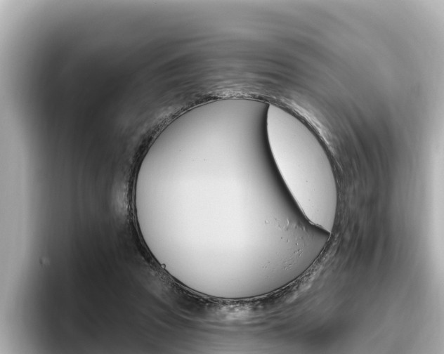X0000096680353200802051034