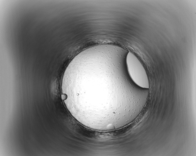 X0000096680359200802051034