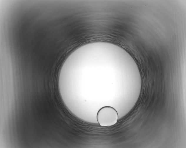 X0000096680360200802051034