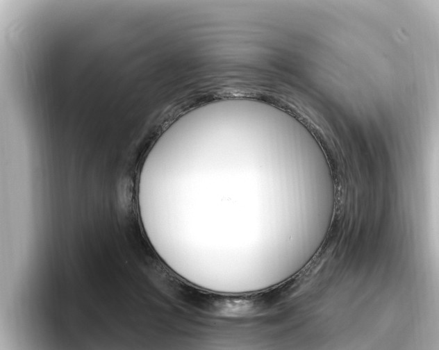 X0000096680361200802051034