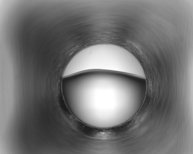 X0000096680364200802051034