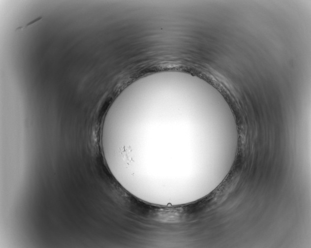 X0000096680373200802051034
