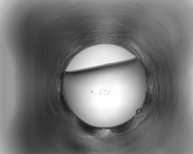 X0000096680374200802051034