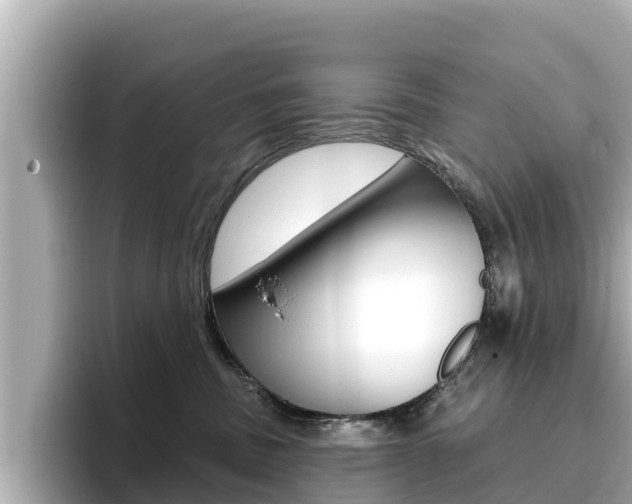 X0000096680379200802051035