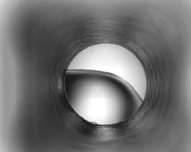 X0000096680380200802051035