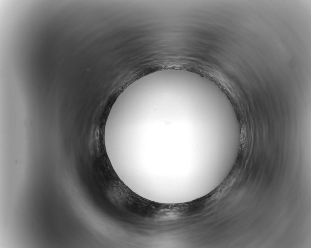 X0000096680381200802051035