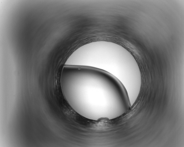 X0000096680382200802051035