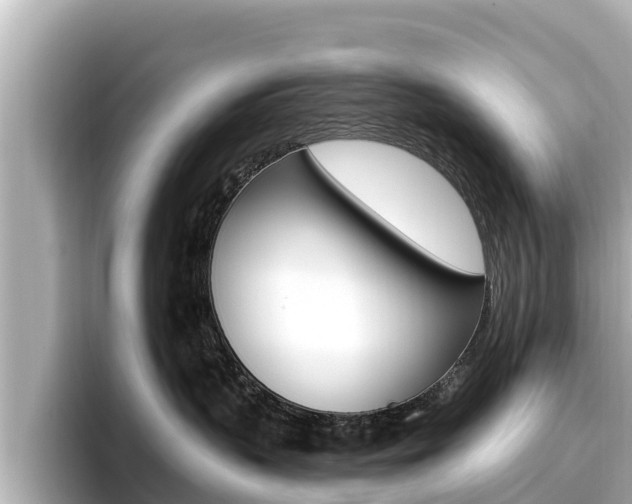 X0000096680383200802051035