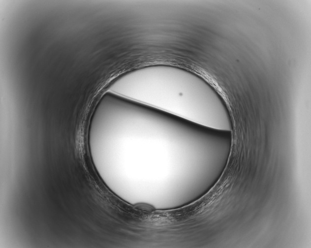 X0000096680386200802051034