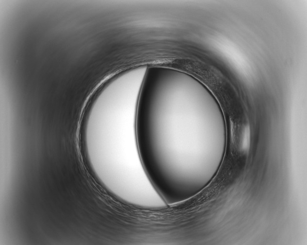 X0000096680387200802051034
