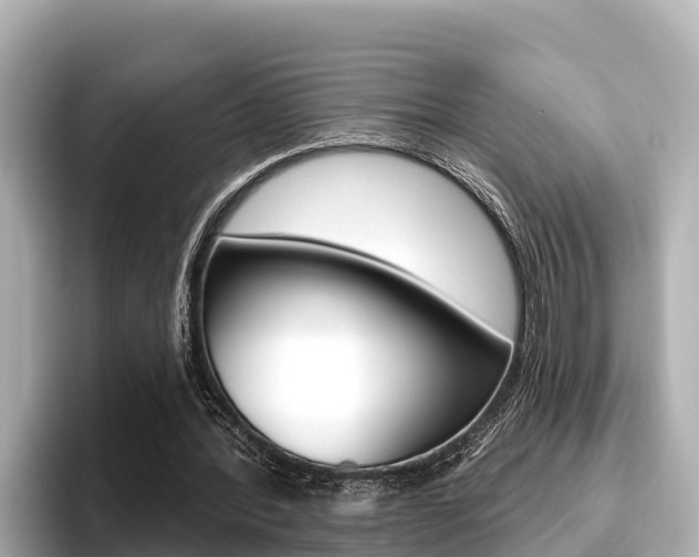 X0000096680388200802051034
