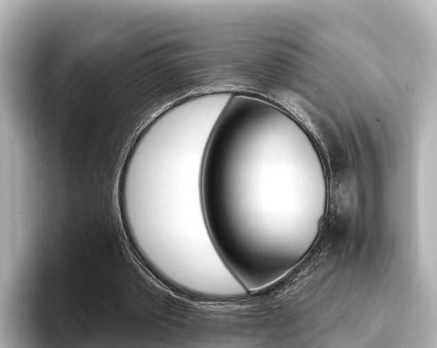 X0000096680389200802051034