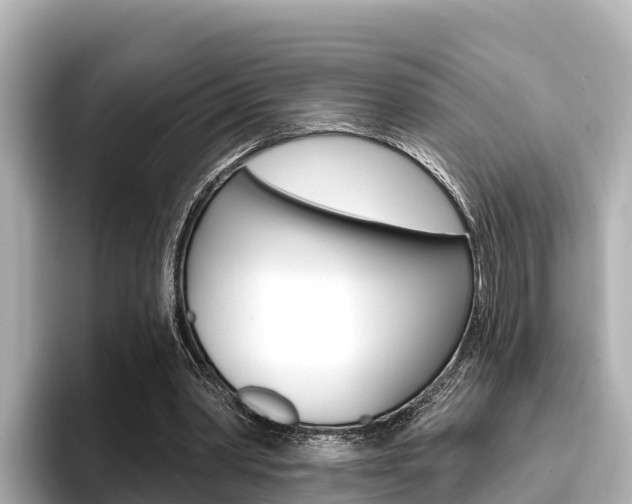 X0000096680390200802051034