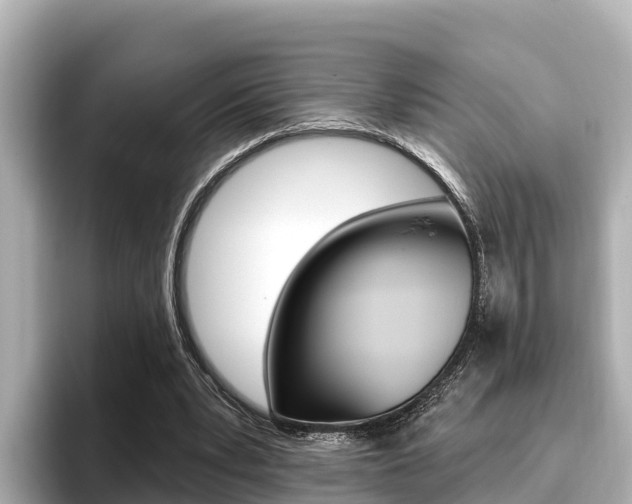 X0000096680391200802051034