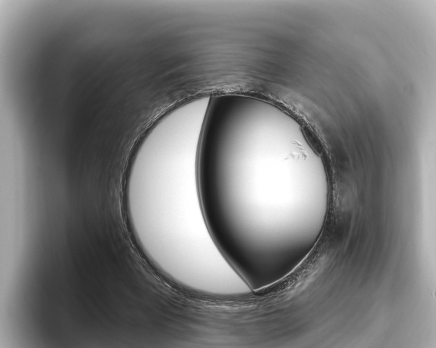 X0000096680393200802051034