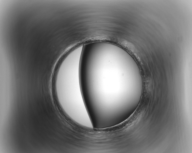 X0000096680395200802051034