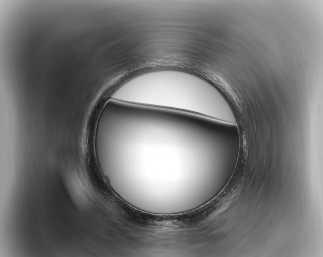 X0000096680396200802051034
