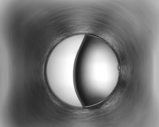 X0000096680397200802051034