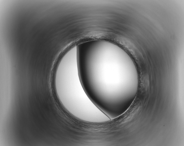 X0000096680399200802051034