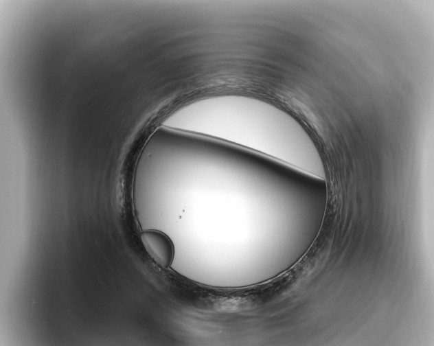 X0000096680400200802051034