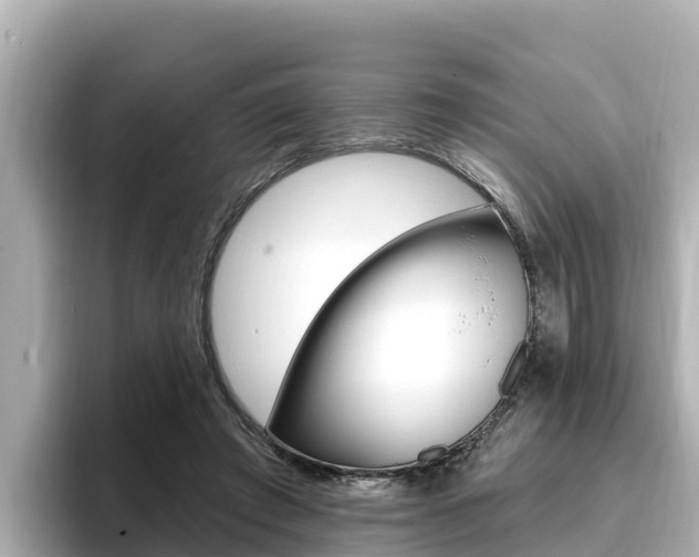 X0000096680401200802051034