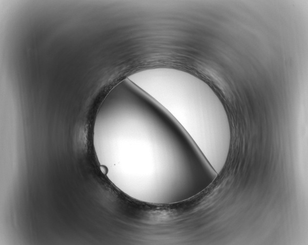 X0000096680404200802051034
