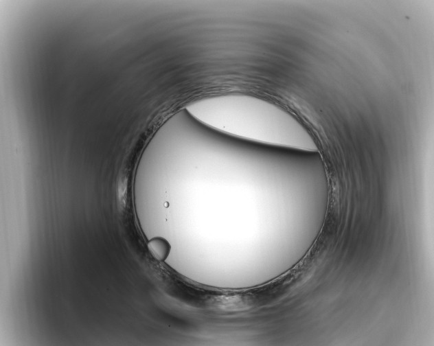 X0000096680406200802051034