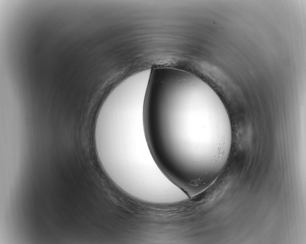 X0000096680407200802051034