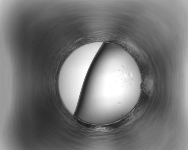 X0000096680413200802051034