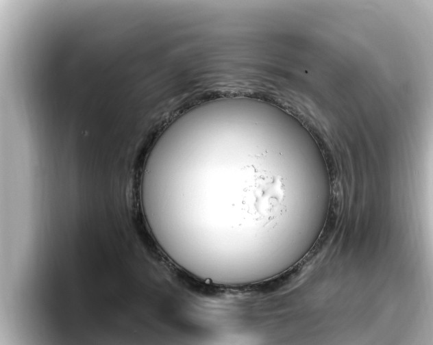 X0000096680416200802051034