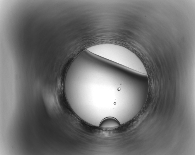 X0000096680420200802051034