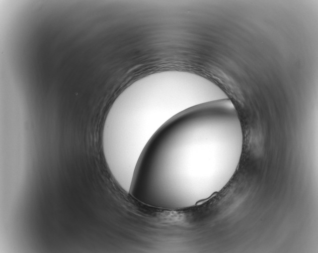 X0000096680421200802051034