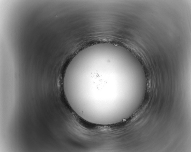 X0000096680424200802051033