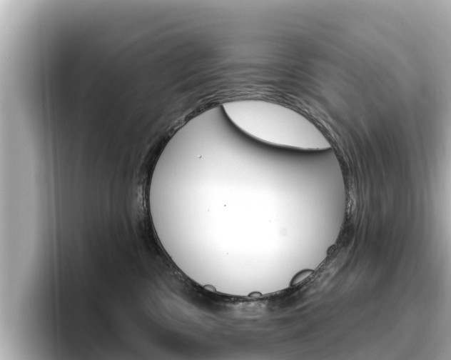 X0000096680426200802051033