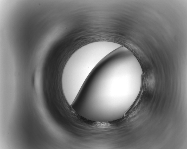 X0000096680429200802051033