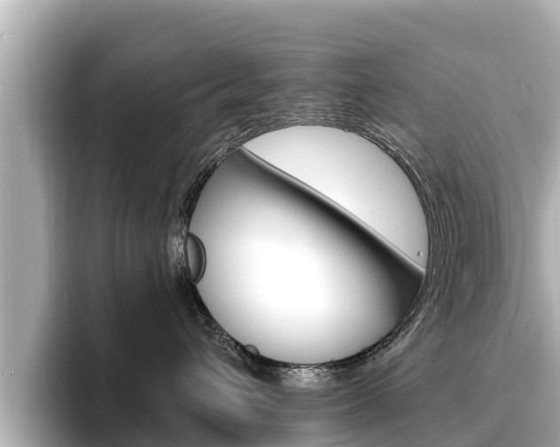 X0000096680432200802051033