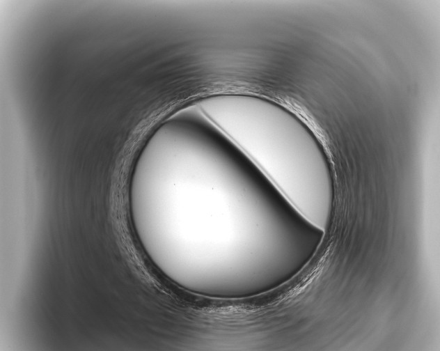 X0000096680433200802051033