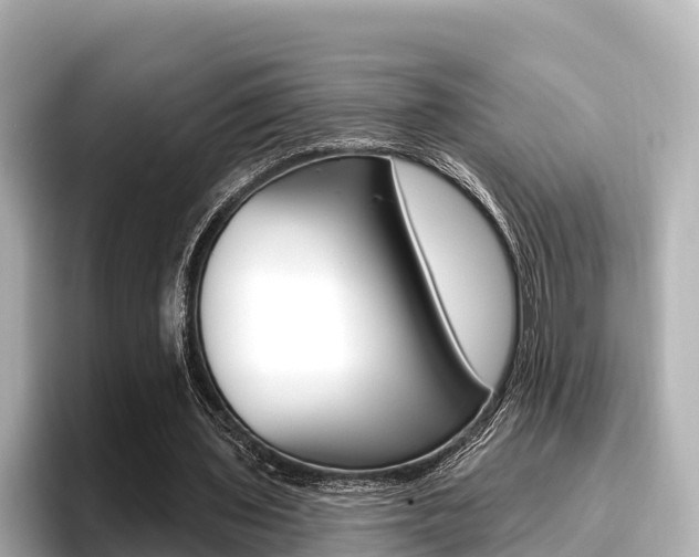 X0000096680435200802051033