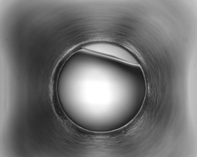X0000096680436200802051033