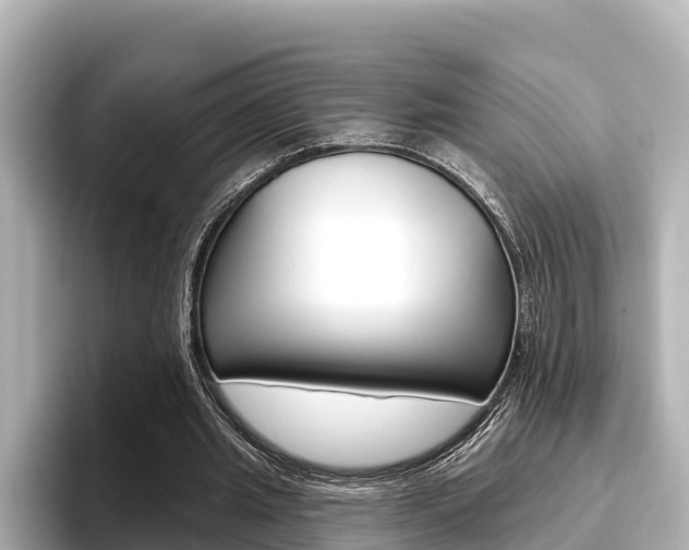 X0000096680437200802051033